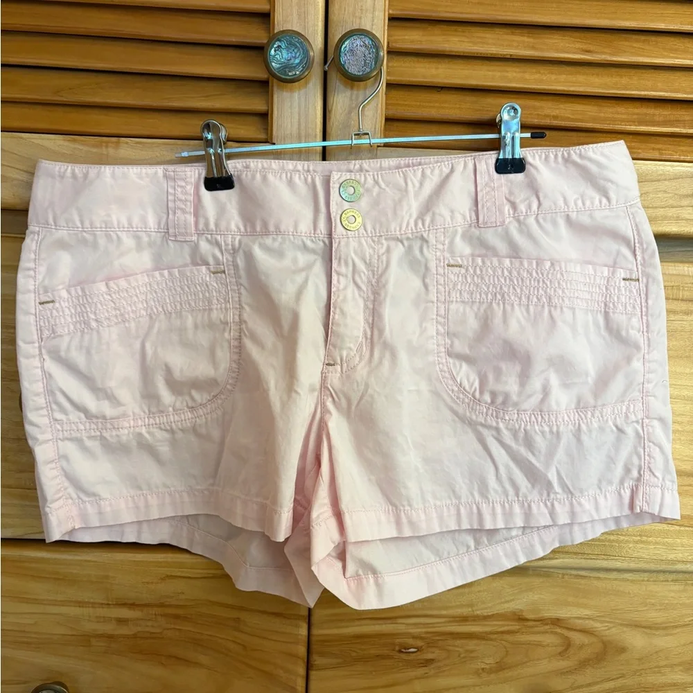 Express Light Pink High Waist Casual Shorts